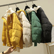 New Down Jacket Hooded Warm Jacket Casual