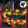 Solar Led Outdoor Garden Decorative Light