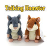 Learn to repeat hamster plush toys