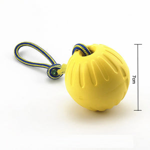 EVA Pet Ball Dog Toy