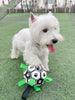 Dog Toy Lovely Paw Football Toys For Puppy Large Dogs