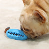 Dog Chewing Toothbrush Toy