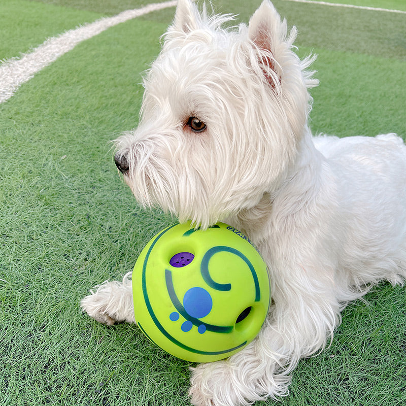 Dog Toy Lovely Paw Football Toys For Puppy Large Dogs