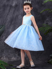 Girls' Clothing Hgh-End Catwalk Children's Dress Princess Dress