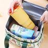 Cartoon Insulated Large Capacity Picnic Camping Bento Bag