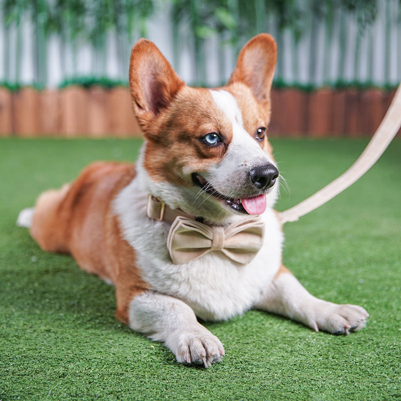 Nude velvet pet collar