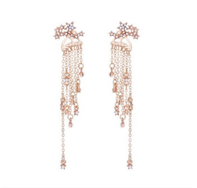 Shining Star Tassel Earrings Back Hanging Exquisite Earrings