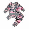 Set Autumn Style Baby Girl Clothing Sets Newborn Clothes Leisure Flower Printing Suitbaby Girl Clothes Sets