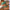 Summer Tube Bikini With Drawstring Design Solid Color Sexy Swimsuit For Beach Party Womens Clothing