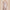 Body Shaping Underwear For Women Corseting Postpartum Belly