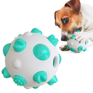 Spherical dog toy molar rod