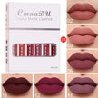 6pcs Matte Non-Stick Lip Gloss