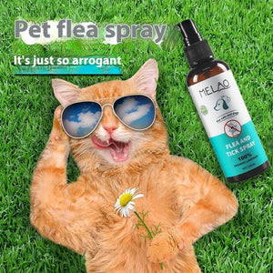 Pet Flea Spray Cleaning And Repair