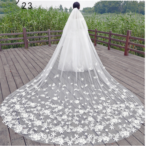 Bridal Wedding Dress Long Tail Luxury Super Fairy Wedding Veil