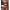 Tube Top Split Bikini Blue Glossy Gold Starfish Female