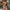 Ins Bikini Summer Beach Split Swimsuit Womens Clothing