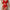 Sexy Underwear Sexy Women Lace Mesh Hollow Suit