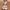 Women's Fashion Striped Texture Holiday Casual Dress Suit