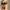 Strap Lace See-through Underwear Suit Women