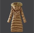 Raccoon Large Fur Collar Plus Size Slim Down Coat And Long Women