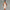 Fashion Graceful Vest Dress Women