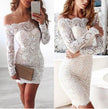 Sexy Lace Long Sleeve One-Piece Dress