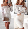 Sexy Lace Long Sleeve One-Piece Dress