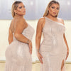 Women's Mesh Perspective Long Sleeve Nightclub Hot Diamond Dress