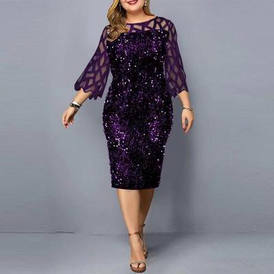 Plus Size Sequin Birthday Party Dress