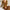 French Wool Suit Classic Style Sweaters Dress
