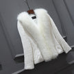 Fashion And Simple Women's Short Long-sleeved Fur Coat