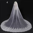 Bride Wedding Master Wedding Veil Long Long Tail