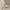 Fashion Square Toe High Heels For Women