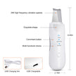 Ultrasonic Skin Scrubber Deep Face Cleaning Machine Peeling Shovel Facial Pore Cleaner Face Skin Scrubber Lift Beauty Instrument Ultrasonic Facial Scrubber Pore Blackhead Remover Spatula Deep Skin Spa