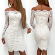 Ladies Lace Tight Evening Dress