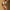 Sexy Split Swimsuit Triangle Bag Pure Color Bikini Three-piece Suit