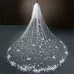 Starry Sky Veil Bridal Wedding Dress