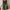 Women Tropical Plant Print Cross-Waist Sleeveless Casual Dress