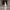 Fashion Slim Fit Backless Long Sleeve Dress Women