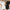 Street Style Hipster Lace Slim Fit Fashion Dress Women
