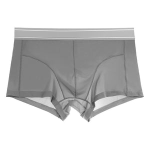 Quick Drying Breathable Ice Silk Underwear For Men