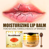 Lip Brush Propolis Moisturizing Lip Mask Desalination