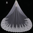 Bride Wedding Master Wedding Veil Long Long Tail