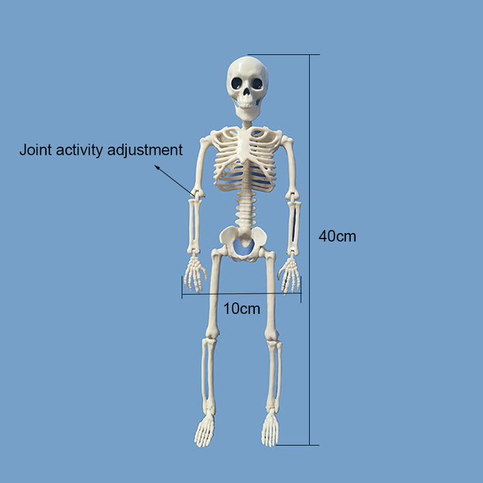 Halloween skull decoration