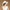 British Fashion Banquet Hat  Hat Women Summer