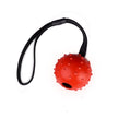 Dog Training Bite Resistant Rubber Ball Small Medium-sized Large Dog Horse Dog Bianmu Molar Toy Ball