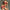 Christmas Red New Style Machine Embroidery Three-piece Underwear For Women