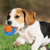 Dog Toy Ball Audible Glow Can Float Grinding Teeth Pets Toy