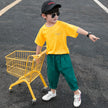 Children's Clothing Boys Summer Suits Western-style Clothes Boys Summer Handsome Short Sleeves