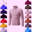 Pullover High Collar Casual Sweater Men